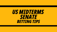 Image for US Midterm elections Senate betting tips